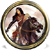 Мир Forgotten Realms